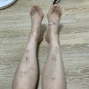 러쉬클랜 PT 헬스 | [주짓수/왕십리] 여자 주짓수 1개월차 주린이 후기 - 러쉬클랜 주짓수 왕십리점