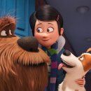 마이펫의 이중생활 이미지