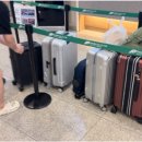 양실로(남) 이미지