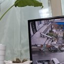 명서2민원센터 이미지