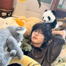 글라스미 안경 렌즈미 이미지