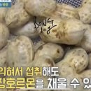 땅콩수산 이미지