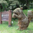 국립운문산자연휴양림야영장 이미지