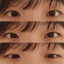 (주)브이플렉스 | 2025년 5월 이모저모