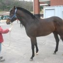 녹원목장 이미지