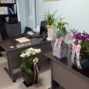 다올 행정사 사무소 이미지