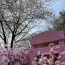 화훼장식기능사(초급) | 화훼장식기능사 합격 후기