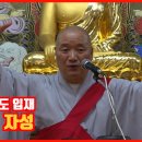 신중기도 입재 / 10년 자성 이미지