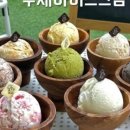 앙꼬아지 이미지