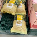 맥스켄넬 | 전주 롯데마트맥스 송천점, 애견동반 쇼핑후기 ! 🛒