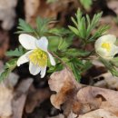 죽장한의원 이미지