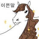 도그샤워 이미지