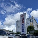안산지 | 서귀포 산지 해장국 후기 | 현지인 맛집 인정!