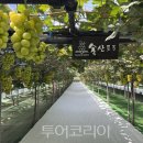 종로-종로-종로-종-136 투어코리아