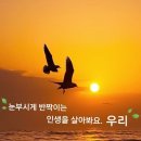 바다먹거리