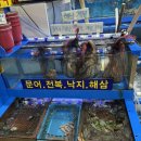 만복초밥 | 노은수산물시장 횟집 만복수산13호