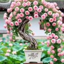 가정에 적정 온습도 이미지