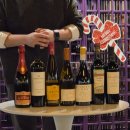 독 | 송파 와인바 데이트 퍼플독 테이스팅 후기