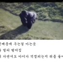 고릴라 - 용인시 처인구 금령로99번길 12-2 | 고릴라
