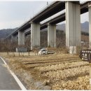 능내2리 마을회관 이미지