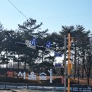 더윤피부과의원 | 서울숲 피부과 '더윤 피부과' 사각턱 보톡스 만족 솔직 후기(내돈내산)