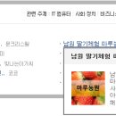 주송길 네이버블로그