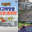 대금태양광발전소 이미지