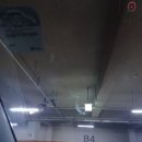 첫 노터치 세차 후 첫 유막 제거 및 왁스 칠 후기