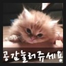 소이냉면 이미지
