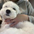 원킬복싱 이미지