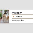 비엠비 이미지