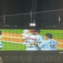 6월일상 | 오토김밥 이가네떡볶이 들고 잠실야구장 215블럭 직관 후기⚾️