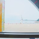 왜목바다향기 이미지