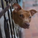 까마로사커피 이미지