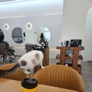 다옴헤어 이미지