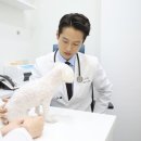 위더스동물의료센터 이미지