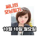 써니공인중개사사무소 이미지
