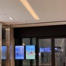 알렉스 | (서울, 그라운드시소 이스트) 알렉스키토 사진전 내돈내산 후기