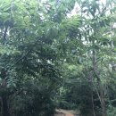 당림미술관 이미지