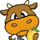 유자골 순한우 네이버블로그