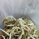 백호환경 이미지