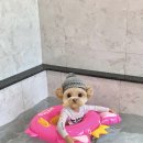 호텔한성 | 창녕 부곡온천 가족탕 추천 한성호텔 리모델링 키즈룸 후기