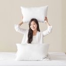 베네호텔 이미지