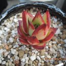 원종화장품 이미지