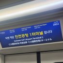 호텔프라이데이(Hotel Friday) | 🇨🇳 중국 칭다오 2박 2일 :: 칭다오 항공(청도 항공), 자오둥 공항, 리톈호텔 (Litian Hotel)