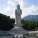 대불금강 이미지