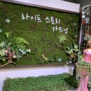 라이프 스토리 가드닝 이미지