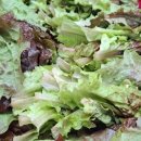 효림농장 이미지