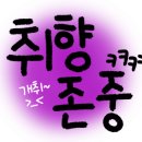 쏠안경원