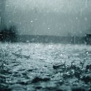 로하스팜 이미지